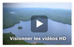 Vido HD